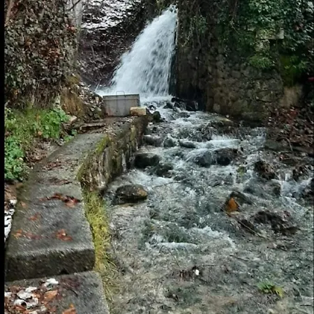 Affittacamere Al Vecchio Mulino 3*